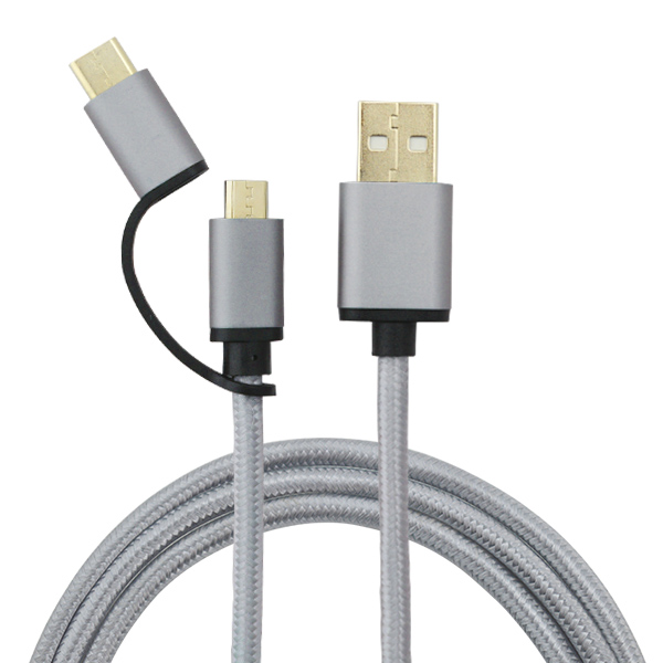 2 in 1 USB Type C Gray